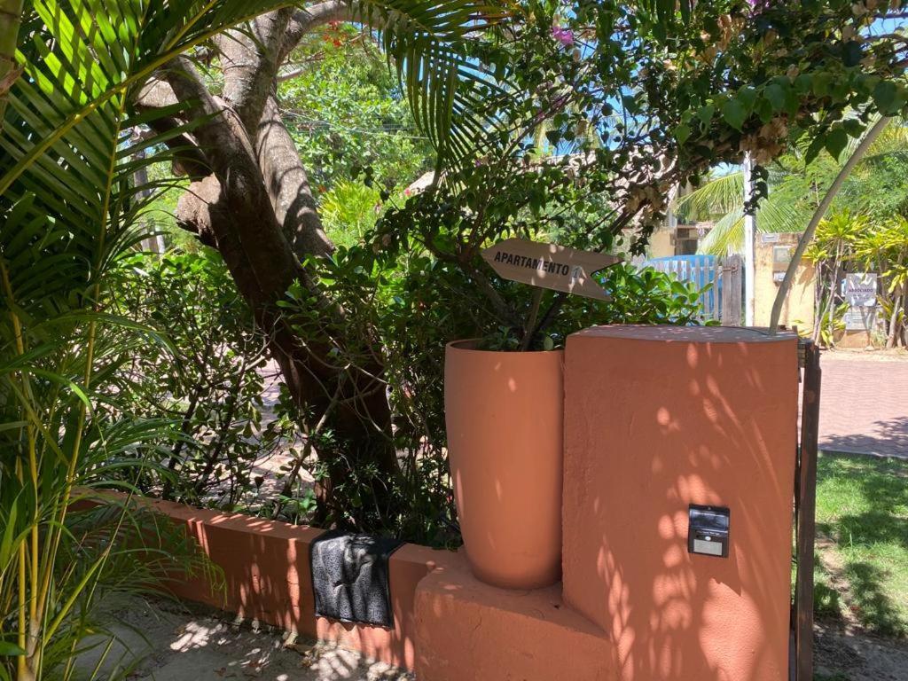 Apartamentos Aconchegantes, Villa Da Praia Praia do Forte Exterior photo